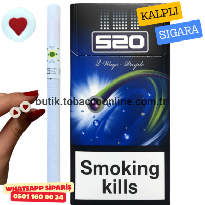 520 Kalpli Sigara Purple - Mentol Böğürtlen x10 Paket